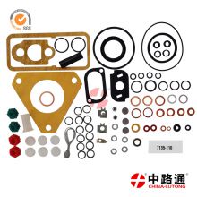 part numbers fits for lucas cav injection pump seal kit 7135-110