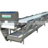 Vegetable Conveyor/Select Conveyor Machine thumbnail-1