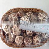 Chinese Dried Flower Shiitake Mushroom With Cap 3-4 CM