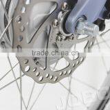 OEM Manufacture 2016 New Easy Riding Commuter Lady Model Electric Motorcycle thumbnail-5