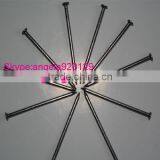 Common Nail Iron Nail Factory Common Wire Nail thumbnail-3