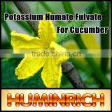 FAQ 2--Potassium Humate Fulvic Acid Fertilizer For Cucumber thumbnail-3