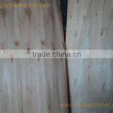 Eucalyptus Core Veneers thumbnail-1