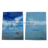 A4 Paper File Protection Bag, Felt A4 File Bags (BLY10-1746PP) thumbnail-1