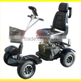 2014 NEW Hot Sell Single Seat Golf Buggy With CE.ROHS Certifications .High Power Motors