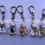 2016 Various styles clear glass keychain