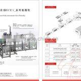 Auto Packer Machine Linear Pick and Place Bag in Carton