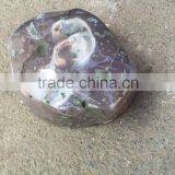 Wholesale Nature Mini Cornucopia Crystal Quartz Geode for Fengshui