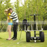 Thinking Car Golf Electric Scooters