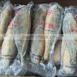 On Sale Best Frozen Fresh IQF Yellow Croaker Fish thumbnail-1