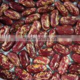 2009 New crop Purple Speckled Kidney Beans