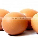 FRESH BROWN CHICKEN EGGS thumbnail-3
