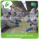 Fresh Peeled Garlic Bag Packing thumbnail-3