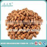 Apricot Kernel- a Cancer Killer/ Nepalese Cancer Killer Apricot/ Bitter Apricot Kernels thumbnail-2