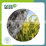 high purity 50 billion cfu/g Bacillus Subtilis probiotic for Agriculture Planting