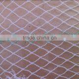 Hdpe Bird Nets for Catching Birds thumbnail-1