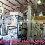 Wheat Barley Oat Seed Cleaning Equipment (seed Cleaner) thumbnail-5