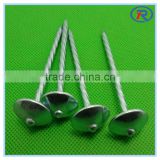 Umbrella Head Roofing Nails/corrugated roofing nails made in china