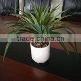 Factory Price Desk Set Decoration Mini Artificial Bonsai thumbnail-1