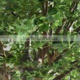 Artificial Large Outdoor Money Tree Green Large Artificial Decorative Rich Tree Money Plant Tree thumbnail-2