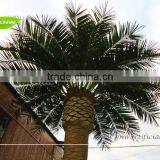 APM030 GNW All Kind of Artificial Palm Tree thumbnail-2