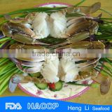HL003 Three spot cut crab with ISO Certification factory price