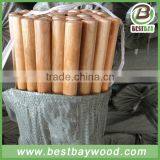 Varnish Painted Wooden Rake Handle Made in China thumbnail-6