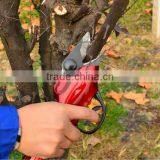 Scissors Battery for Pruning / Scissors thumbnail-1