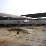 Foshan Greenworld Nursery Co., Ltd. company overview - view 2 thumbnail