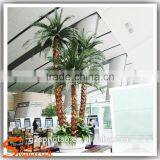 Guangzhou Songtao Customize Top Quality Fake Artificial Indoor Washington Palm Trees thumbnail-3