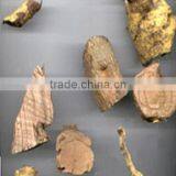 Salacia Dry Extract thumbnail-2