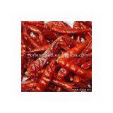 Sell Chili (Stemless 3 - 5cm) thumbnail-1