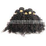 Indian Hair Vendor Direct Selling Raw Indian Temple Curly Hair thumbnail-6