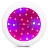 Full Spectrum Led Grow Light UFO High Power 300w thumbnail-1