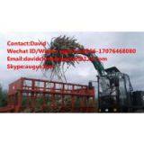Customize Wheel Cameco 1850 Sugarcane Loader thumbnail-2