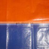 Tarpaulin Blue White Polyethylene