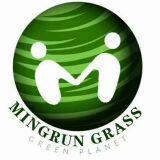 Wenan Mingrun Artificial Turf Co.,Ltd