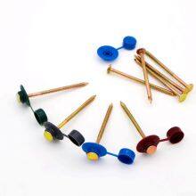 POWER Safe Top Nails Manufacturer - 30 Years Roofing Fastener Production Experience thumbnail-5