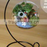 Glass Terrarium Elegant Glass Vase Nice for Home Decorations thumbnail-1