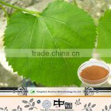 China supplier white mulberry leaf extract powder