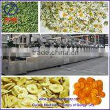 High Efficient Good Quality Medicine Microwave Tunnel Dryer Machine thumbnail-1