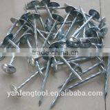 Hot Sale Umbrella Head Roofing Nails From Direct Factory thumbnail-1