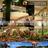 MY Dino-C064 Theme Park Pterosaur Skeleton for Sale thumbnail-4