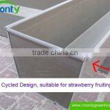 Strawberry Hydroponics thumbnail-2