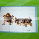 Disosale Underpads for Pet Training thumbnail-1