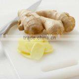 Fresh Ginger for Exportation thumbnail-6