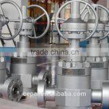 Globe Valve/API6A Globe Valve/Forged Gate Valve/Cameron Valve thumbnail-3