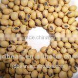 500g Vacuum Packing Organic Soybean for Soy Milk Hot Sale for Supermarket thumbnail-1