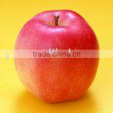 Fuji Apple thumbnail-1