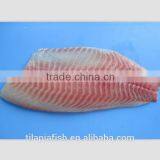 Seafood Fillet With High Quality thumbnail-1